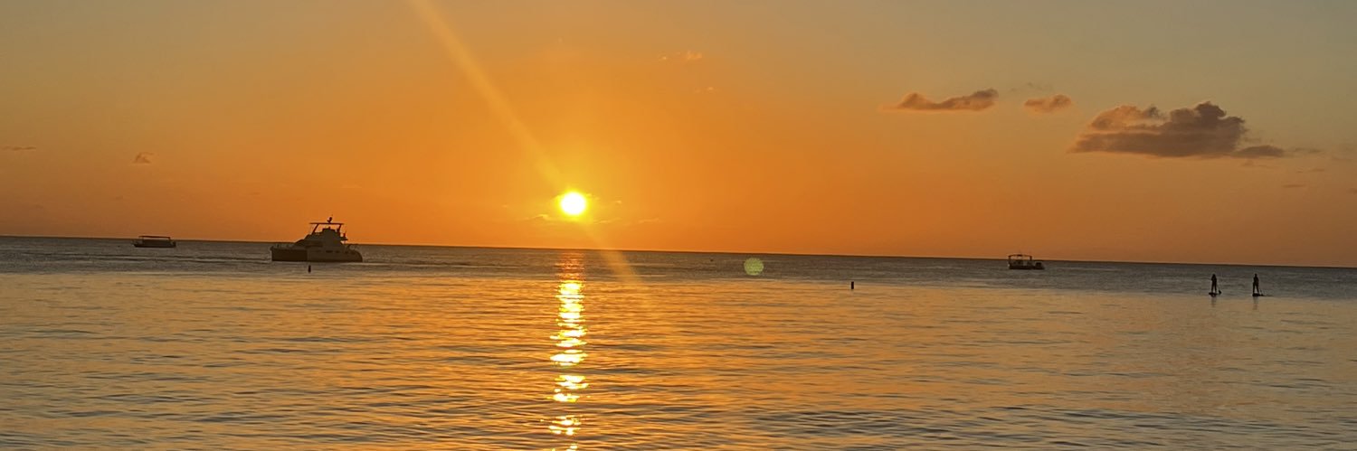 Paul Lancaster banner