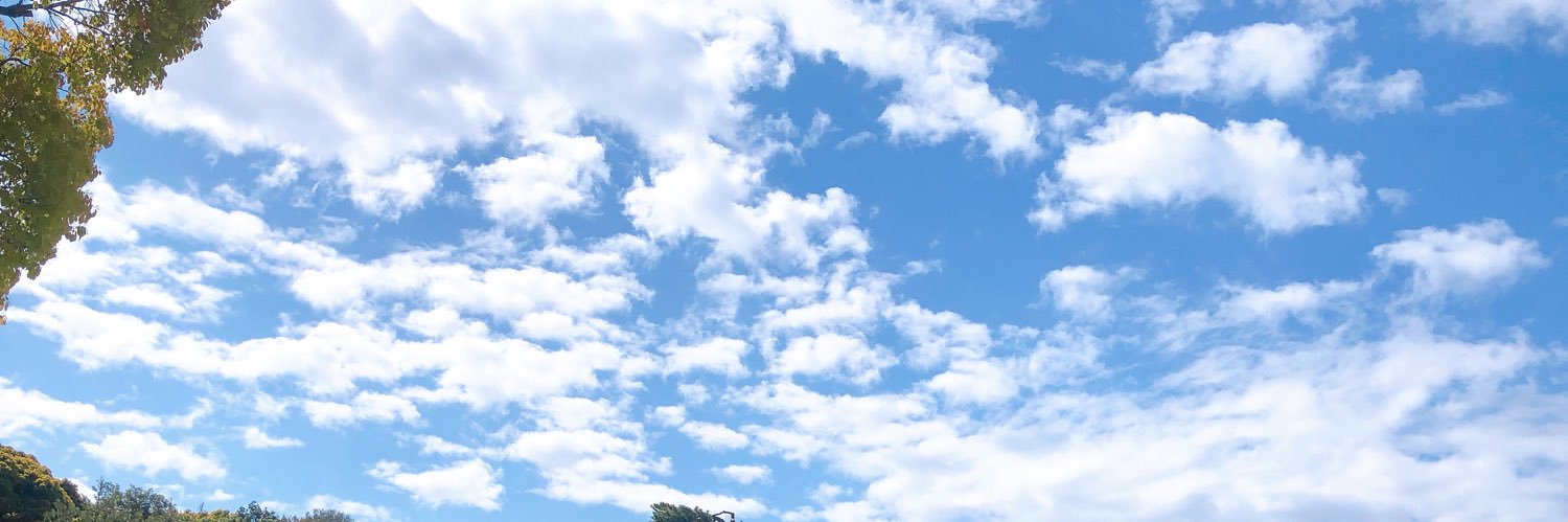 amamiyake's profile banner image