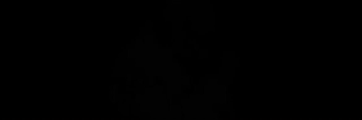 RaeSligh's profile banner image
