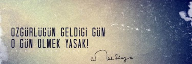 Semina Pelin Özdemir banner