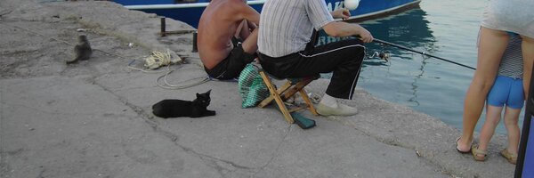 bluefrogJc Profile Banner