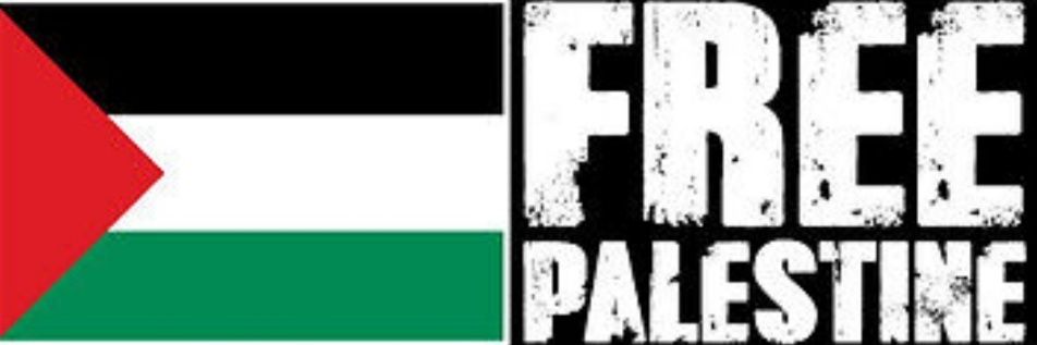 roig_pere's profile banner image