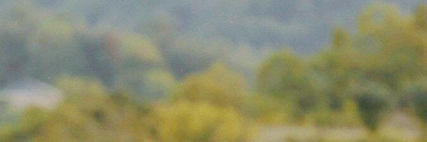 scnryytaee's profile banner image