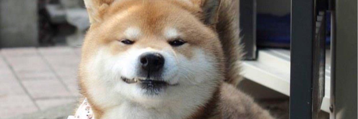 na_rada's profile banner image