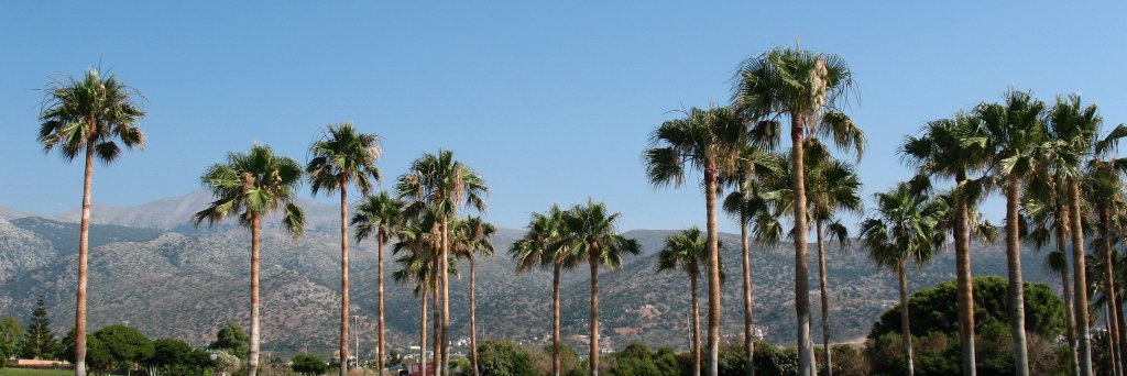 ulinkap's profile banner image