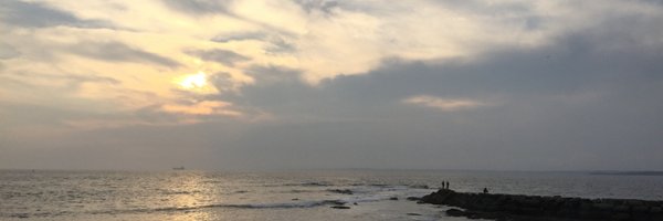 Vessoni Profile Banner