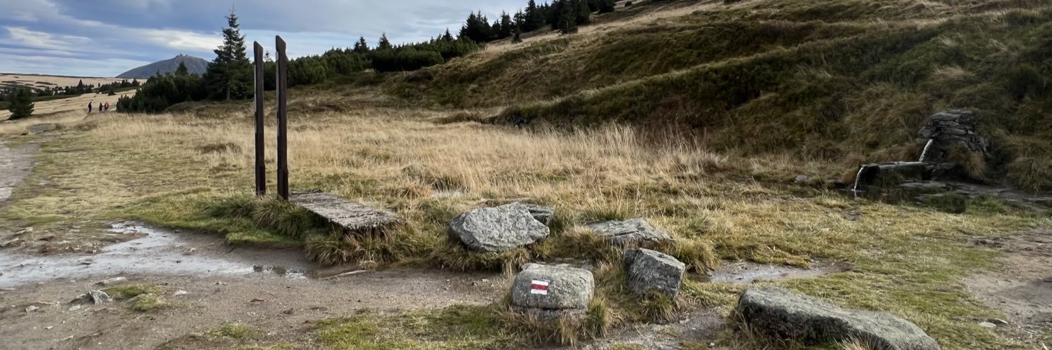 Zuzana Rennerová banner