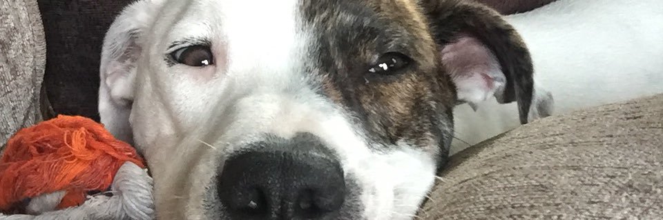 stumack01's profile banner image