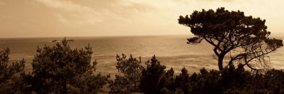 SabrinaDMesalam's profile banner image