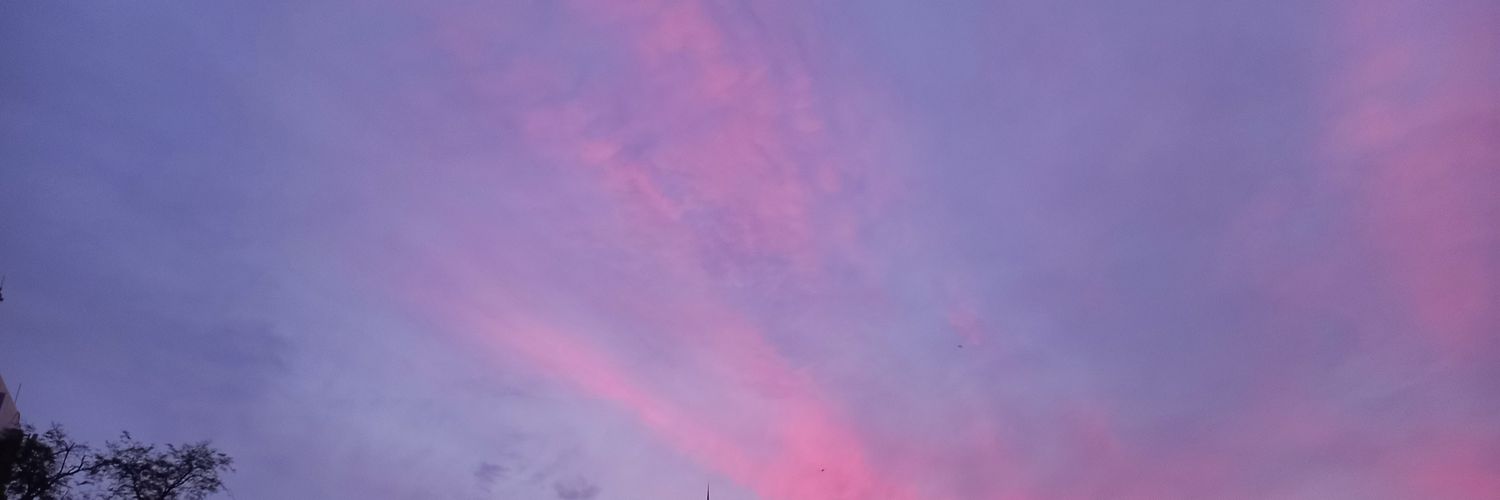 sylfile's profile banner image