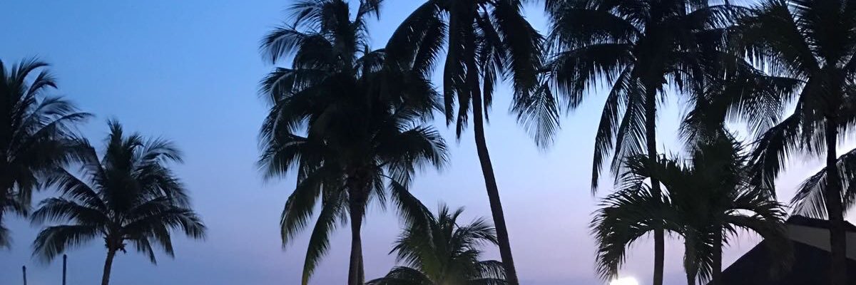 EmmaMarieQuinn's profile banner image