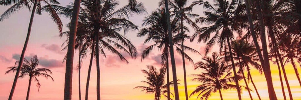 semogikKills's profile banner image