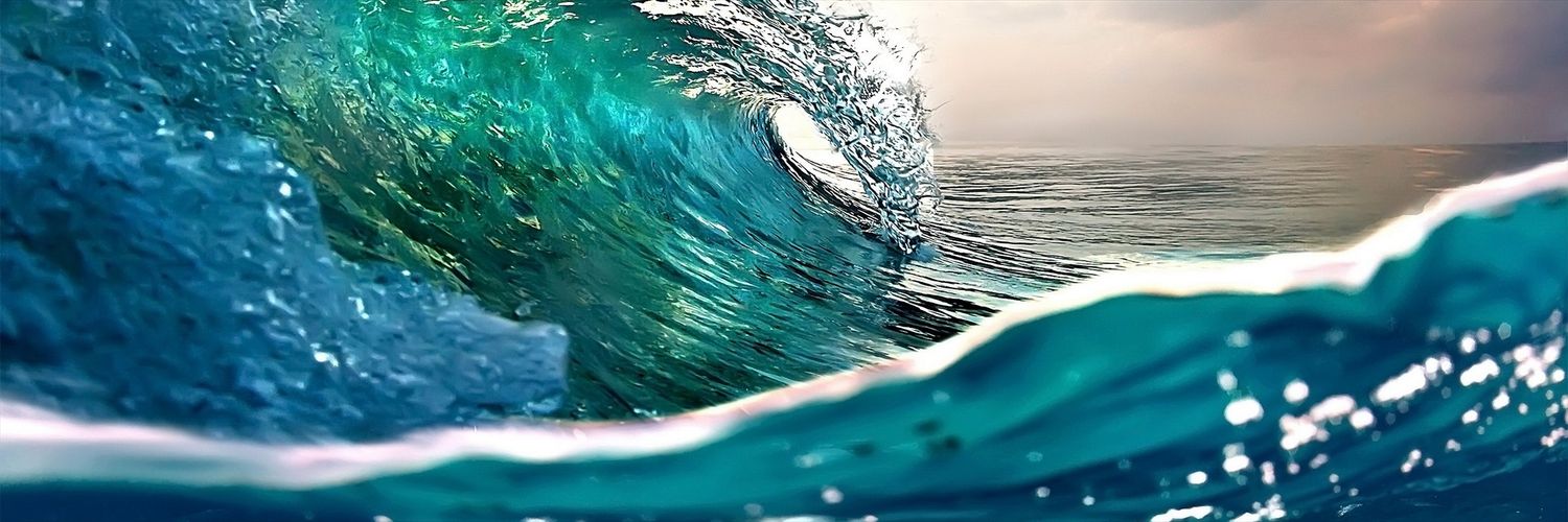 Reckless_Turtle's profile banner image