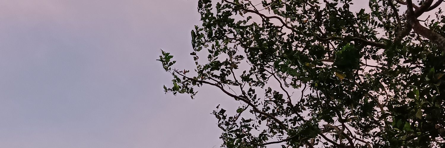 _ueueus's profile banner image