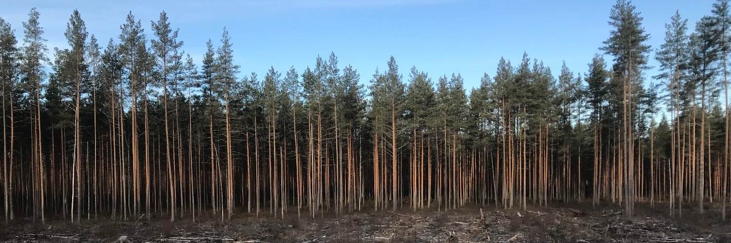 Nick Beglinger banner