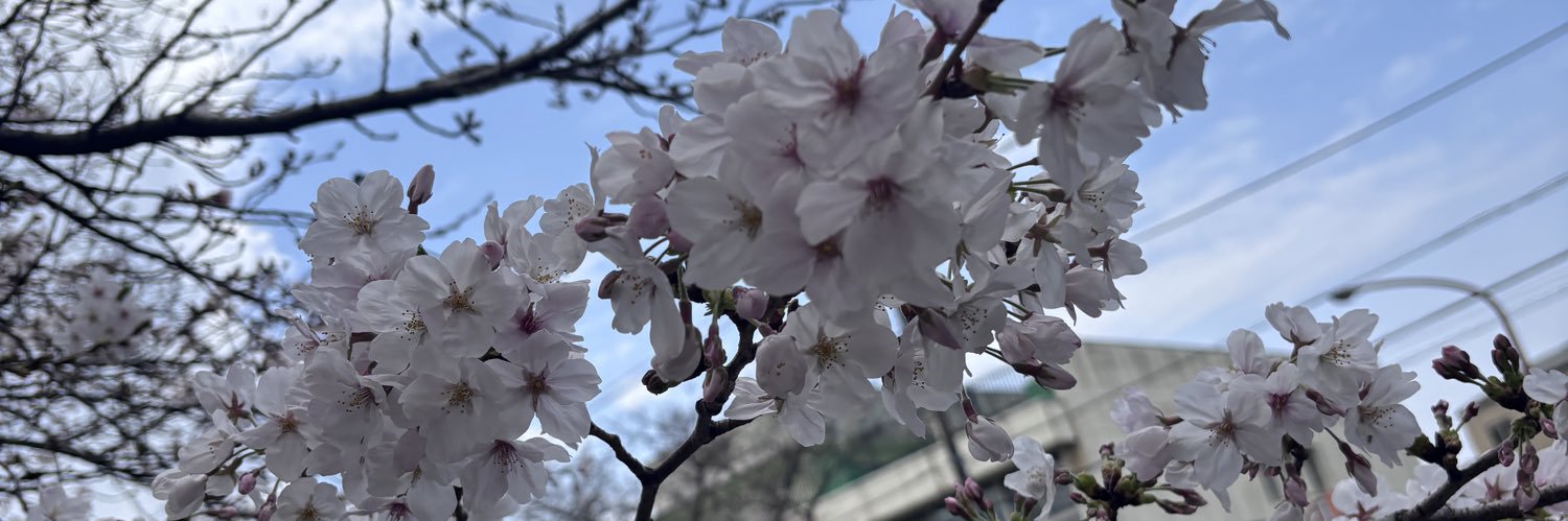 しゃここ banner