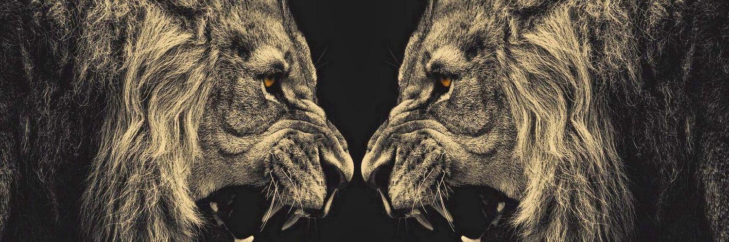 __Kingblake's profile banner image