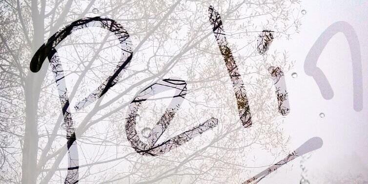 iam_pelin's profile banner image