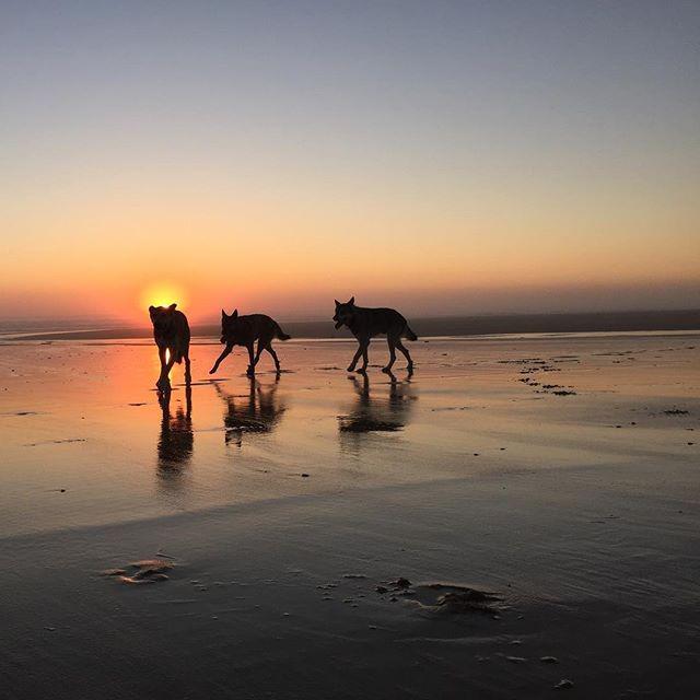 El Morrotchitchi stay at OM 🇲🇱 banner