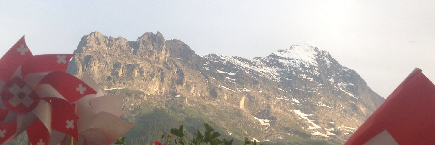 0x_Vik's profile banner image