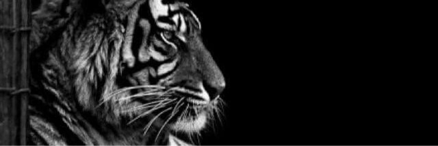 _MB_Balarabe's profile banner image