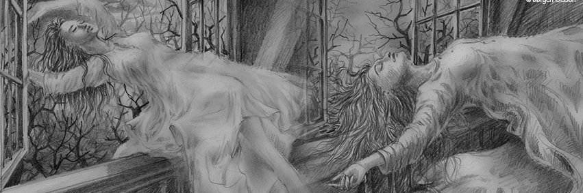 Music_Gallery_'s profile banner image