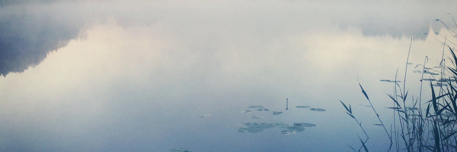 Aksel Kjær Vidnes banner