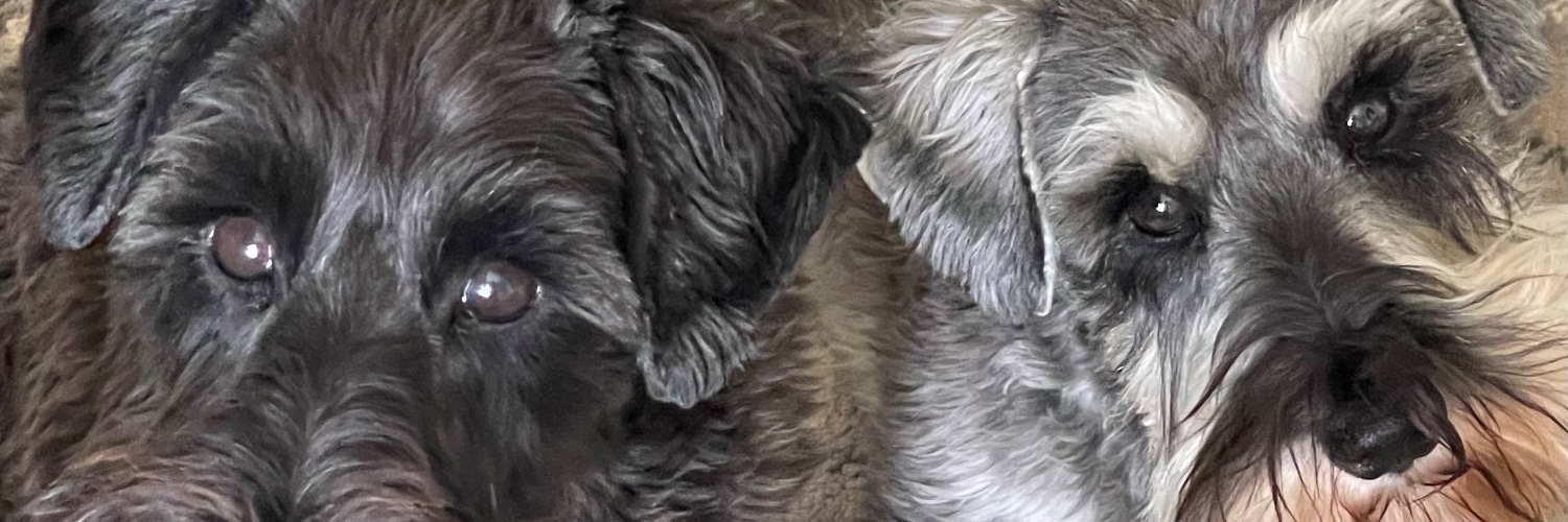 The Tiger. Not a ‘thug’ 🏴󠁧󠁢󠁥󠁮󠁧󠁿 🇬🇧🇺🇸 banner