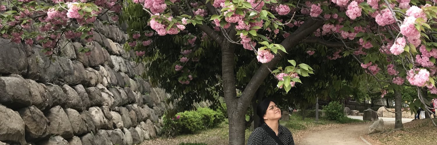 riccalab's profile banner image