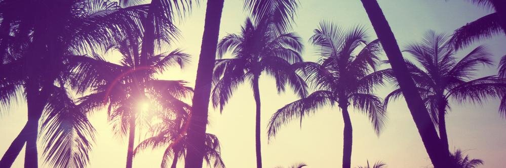 Aseaoflove's profile banner image