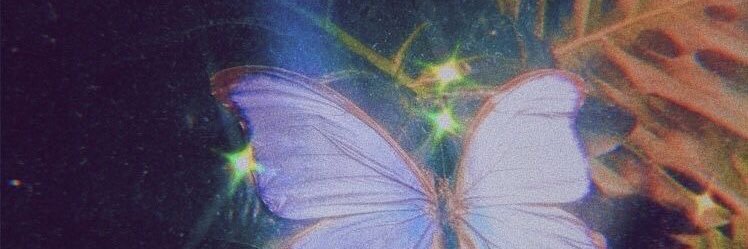 lillysteria's profile banner image