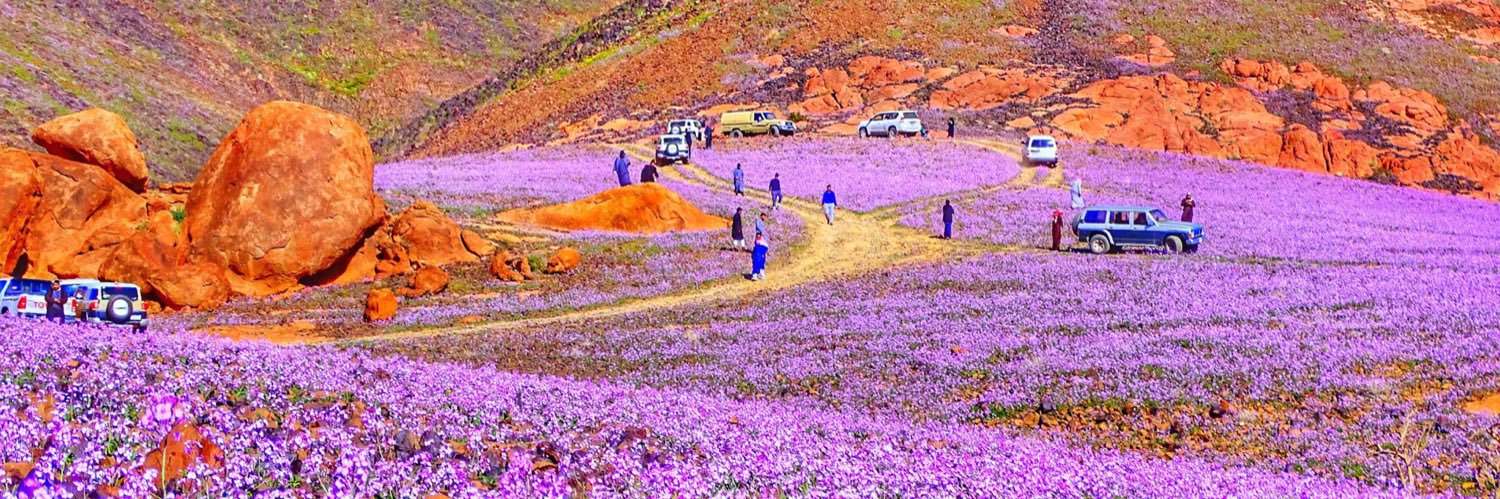 abumaitha02's profile banner image