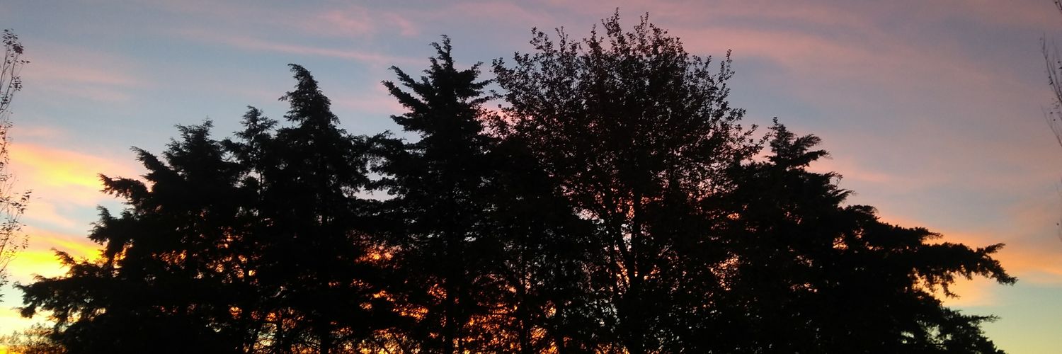 ValenZmOk's profile banner image