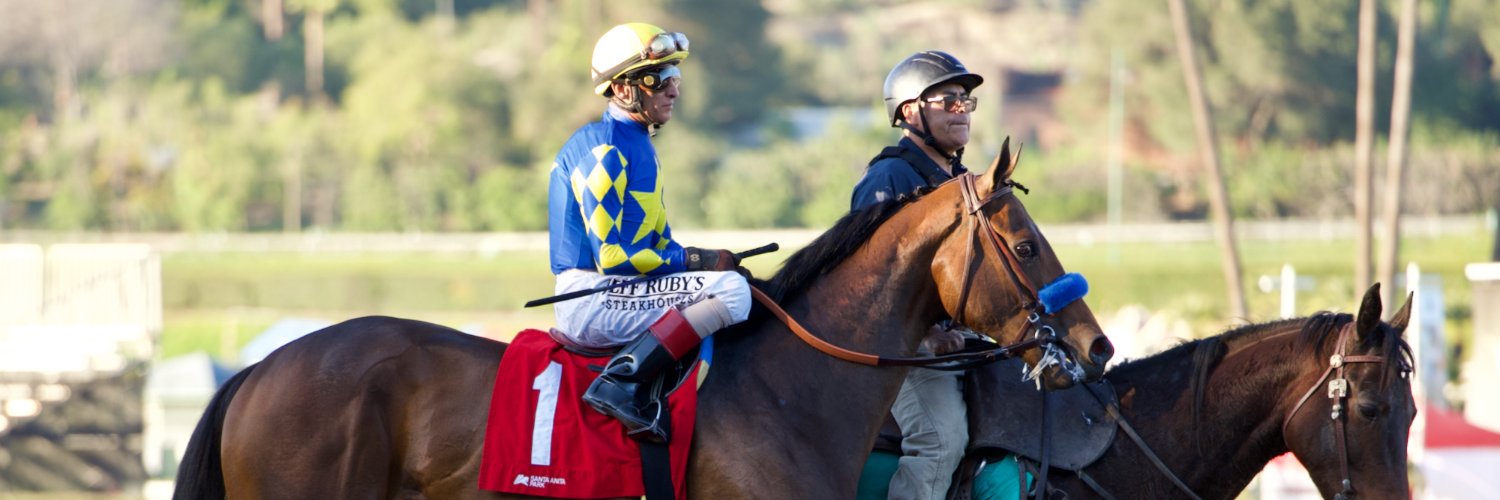 StarlightRacing's profile banner image
