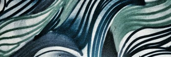 dcamorim's profile banner image