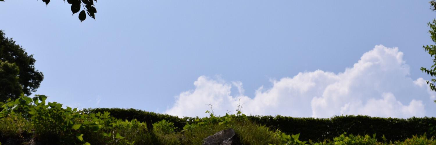 hamo_huma's profile banner image