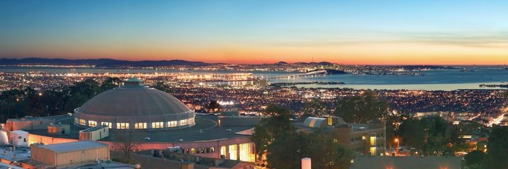 Michael Witherell banner