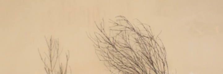 Amelsaprp's profile banner image