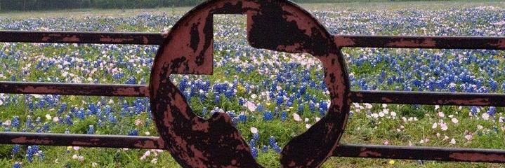 KathyPowell22's profile banner image