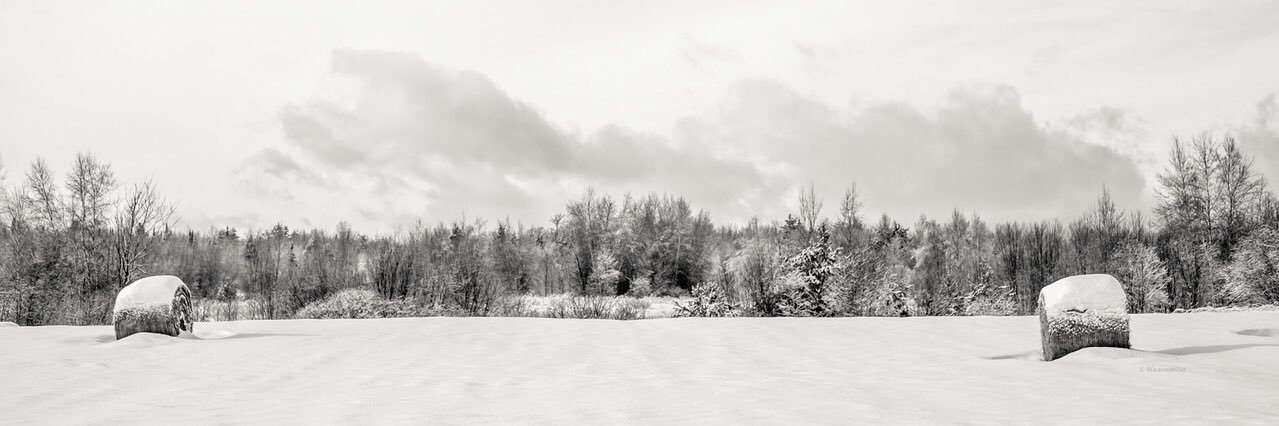 BlacksmithPat banner