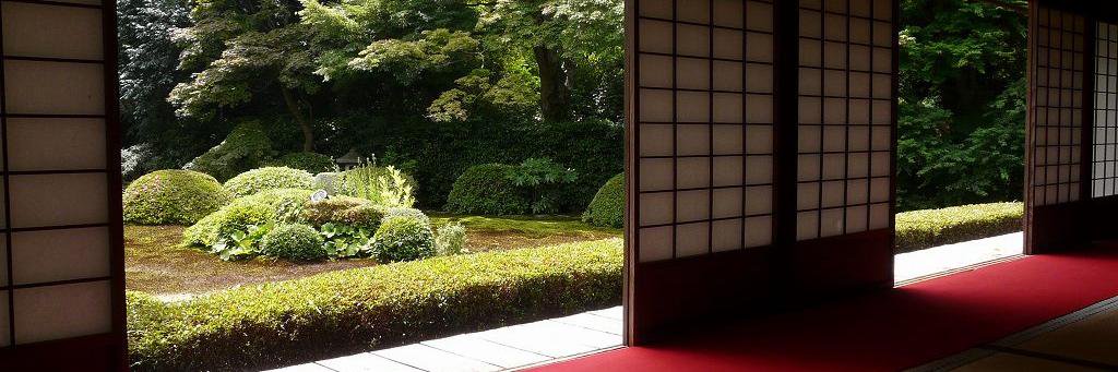 wataaokitaka's profile banner image
