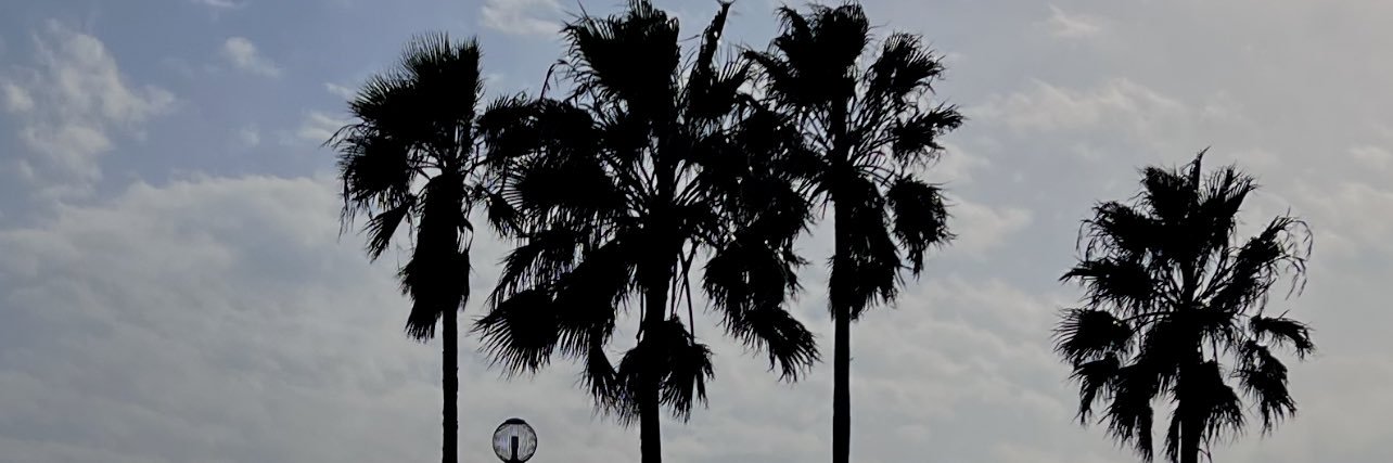 AcharyaRobin's profile banner image
