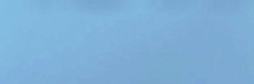 Ratna Bhushan's banner