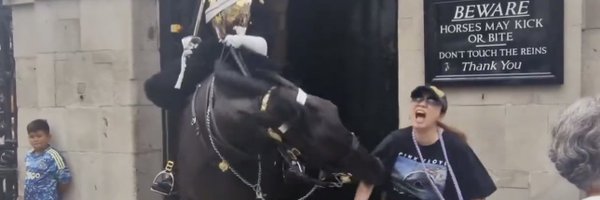 lilydavay Profile Banner