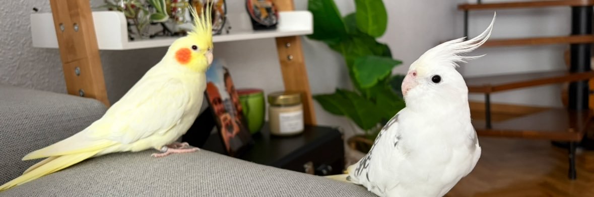 Andreeitagm's profile banner image