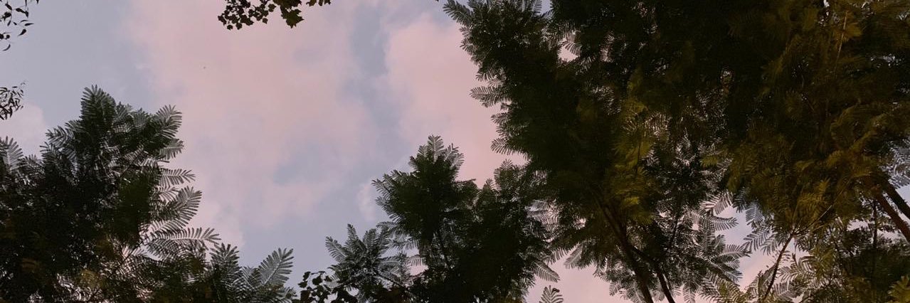 LunaDayekh's profile banner image