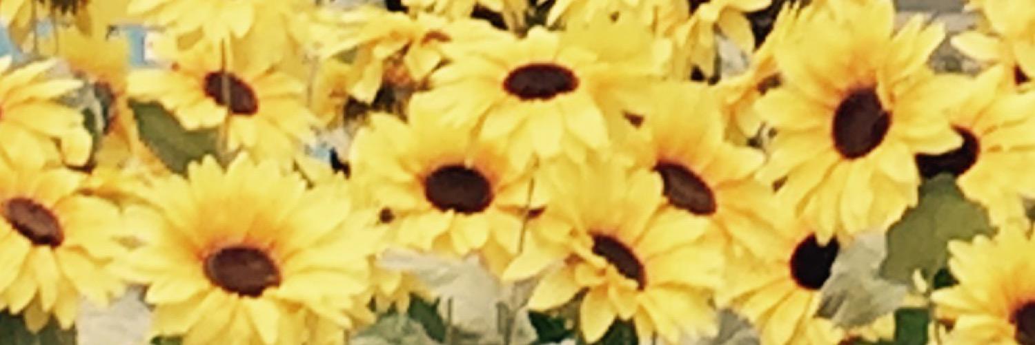 2no_3's profile banner image