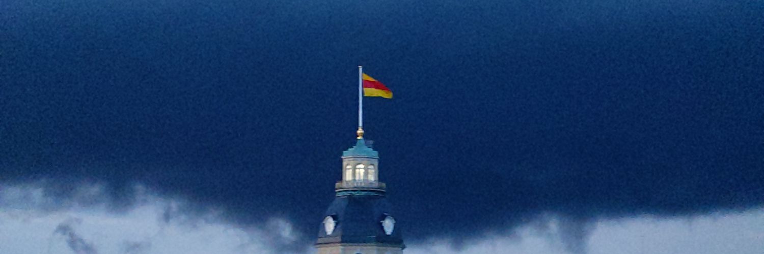 Rodi banner