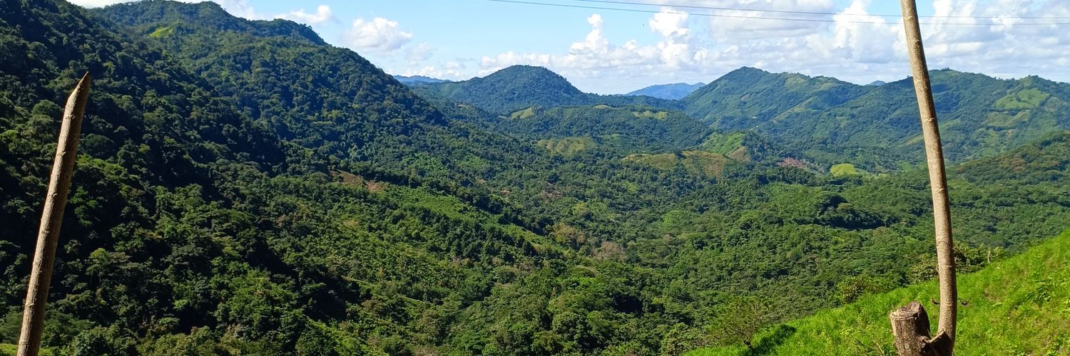 JulioBenavides3's profile banner image