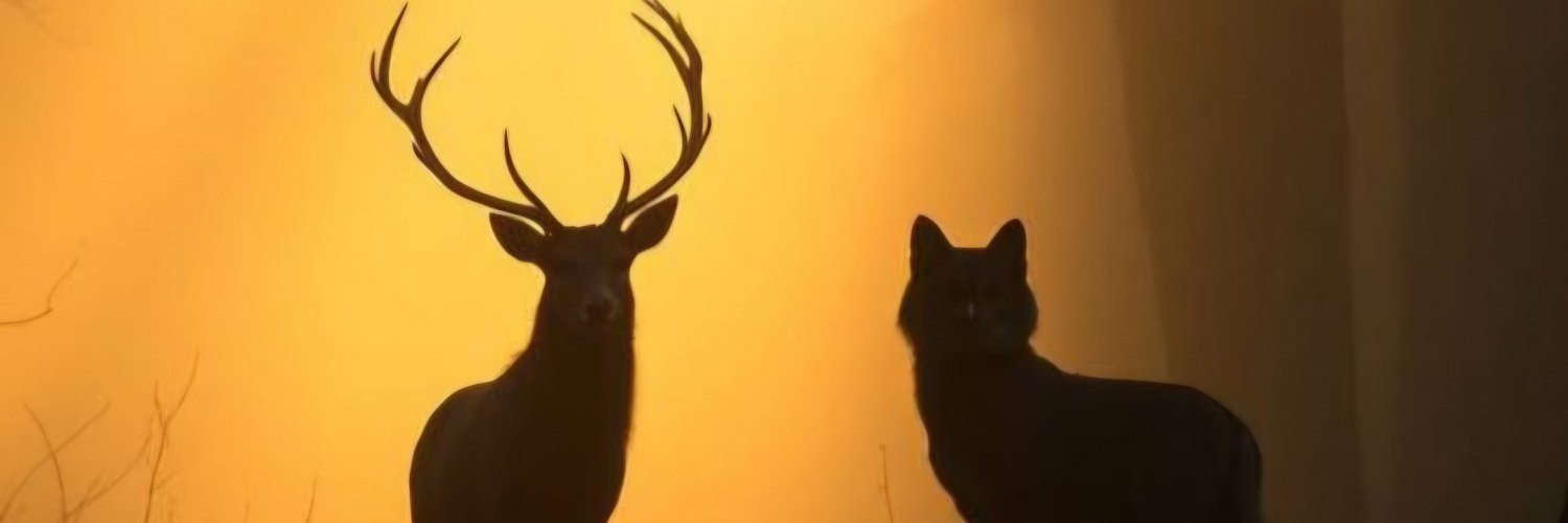 leosieverse's profile banner image